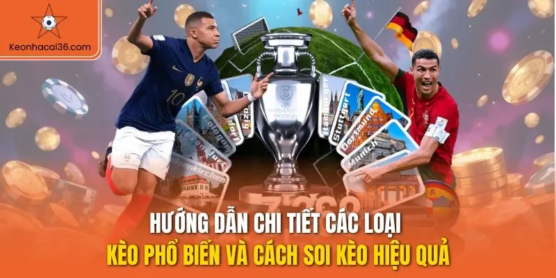 Hướng dẫn chi tiết các loại kèo phổ biến và cách soi kèo hiệu quả