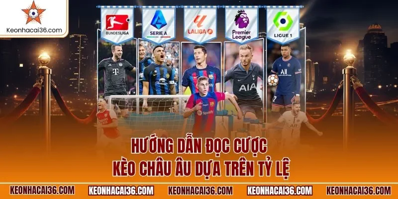 Hướng dẫn đọc cược kèo châu Âu dựa trên tỷ lệ